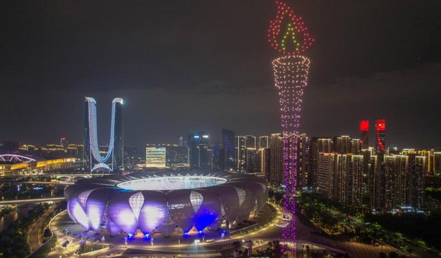 Détecteur RF portable 2